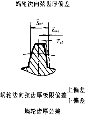平面二次包絡環面蝸杆傳動精度蝸杆、蝸輪誤差的定義及代号